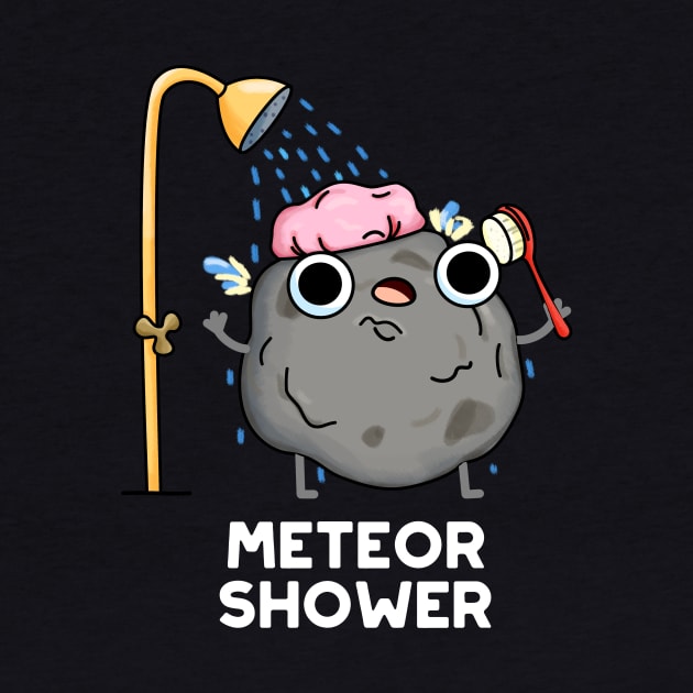 Meteor Shower Astronomy by punnybone